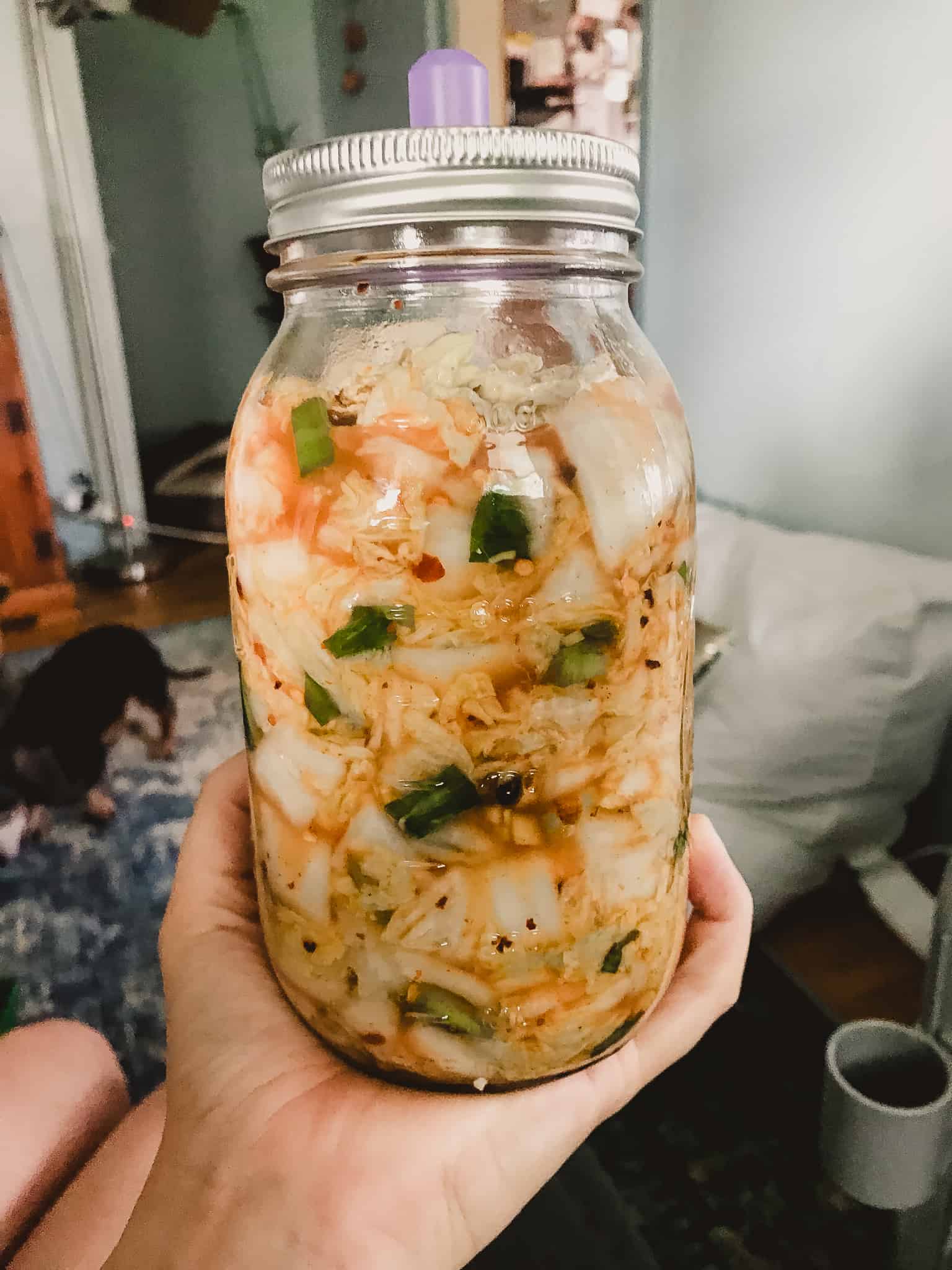 Are Masontops Pickle Pipes Worth the Money? (By a Real User)