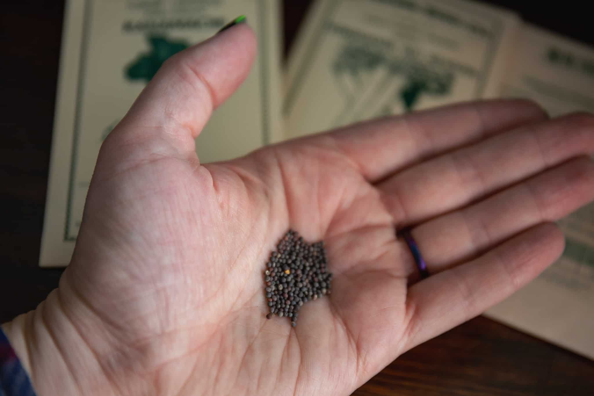 Best Place To Find Seeds Online: Top 9 Sites To Shop For Seeds